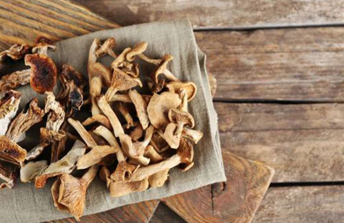 �������� ��� ���� ������� ������� ����� � �������� �������