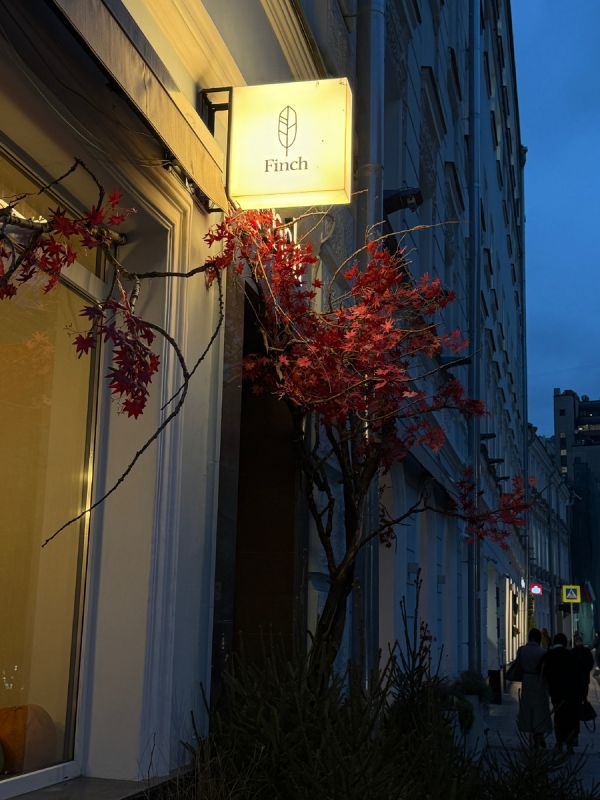 Finch: ����� ���������� ����������� � ������ ������