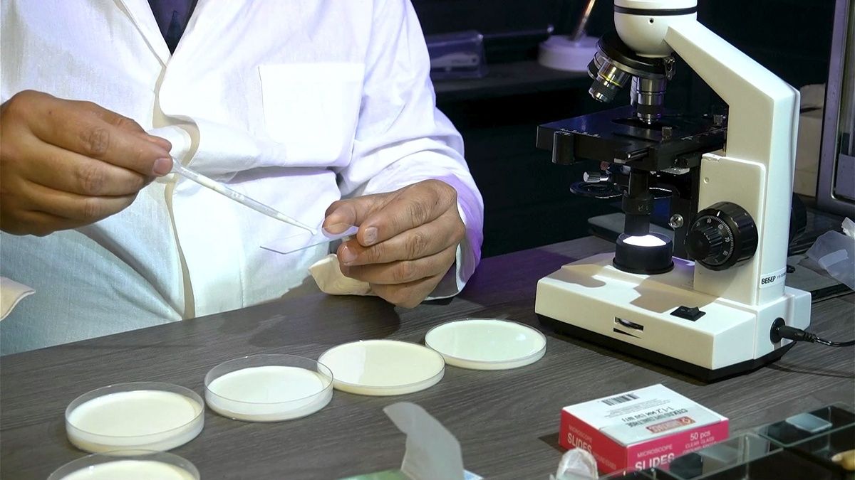 ������������ �������: ��� ������� ������ � �������� ������������ ����������� �� ����� ������