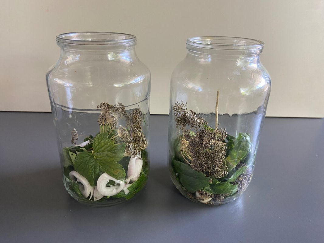 ��������������� ������������ ������ �� ����: ����������� ������, ������� �� ��������