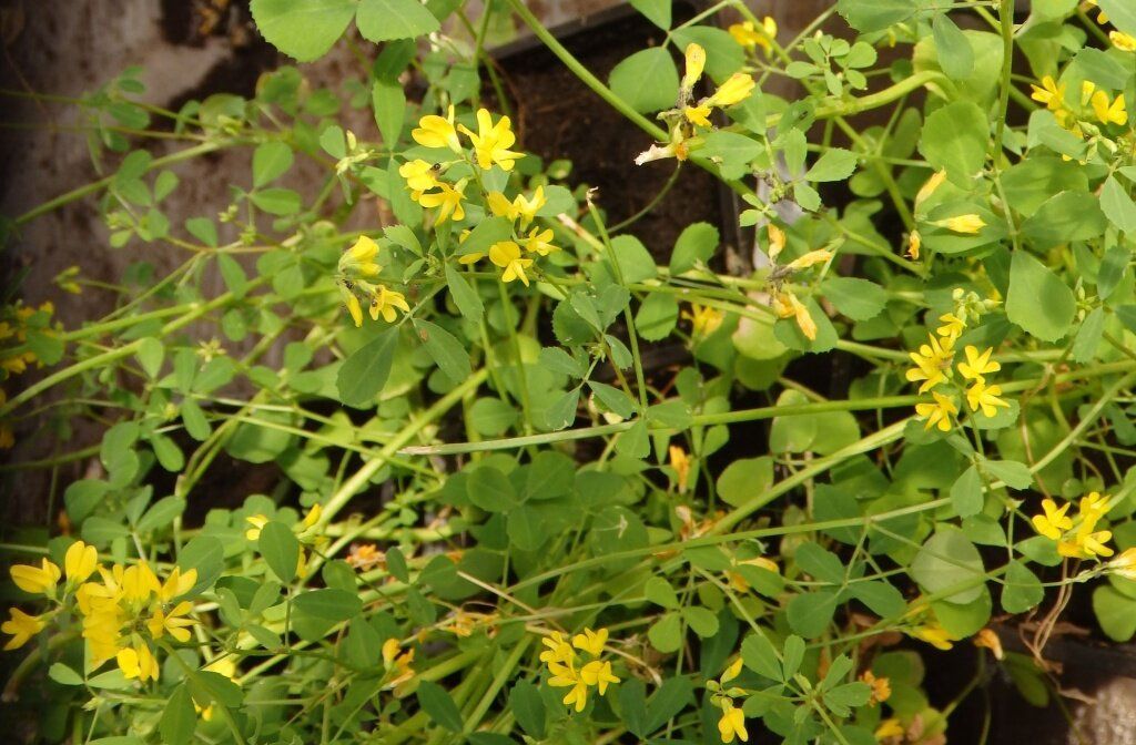 ��������: ������ ��� ������ ���� � ����� � 2025 ����