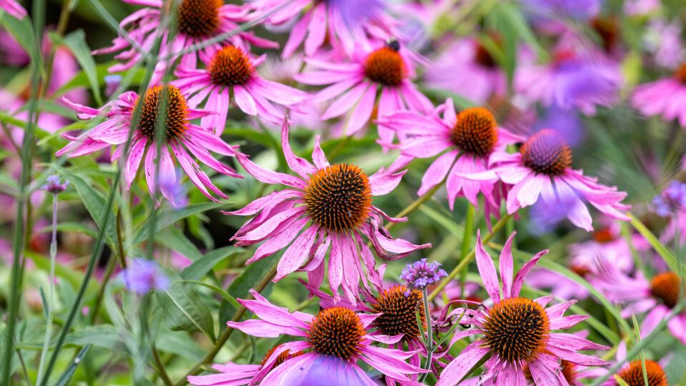 ��������: ������� ������� �������� � ������ �� ����� �� ���� ���������� ���������