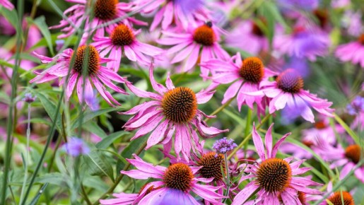 ��������: ������� ������� �������� � ������ �� ����� �� ���� ���������� ���������