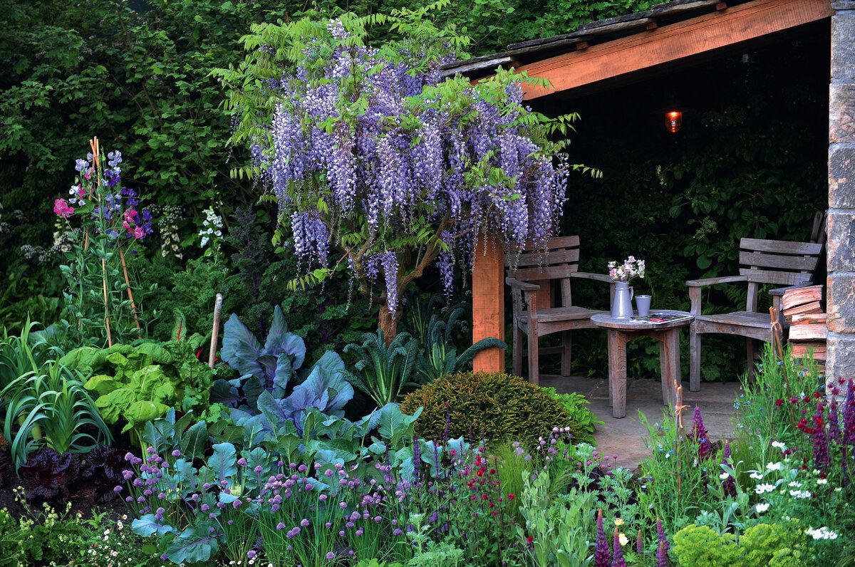 15 ���������� ��������� ��� ���������� �������