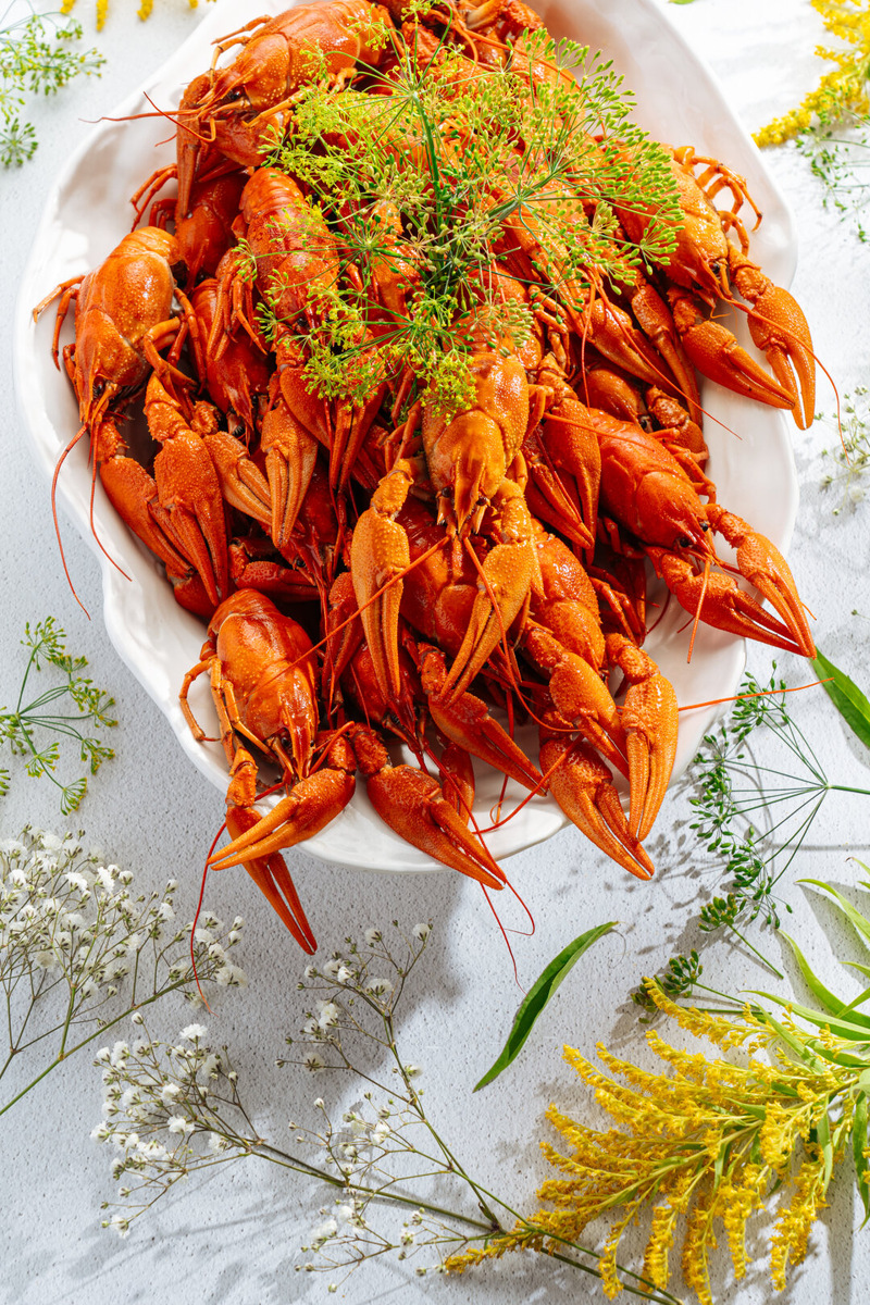 Сезон снова оживился — всегда есть повод выбраться куда-то необычно