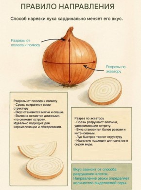 ��� ������� ���� ������ �� ��� ����