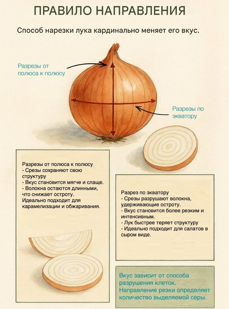 Как нарезка лука влияет на его вкус