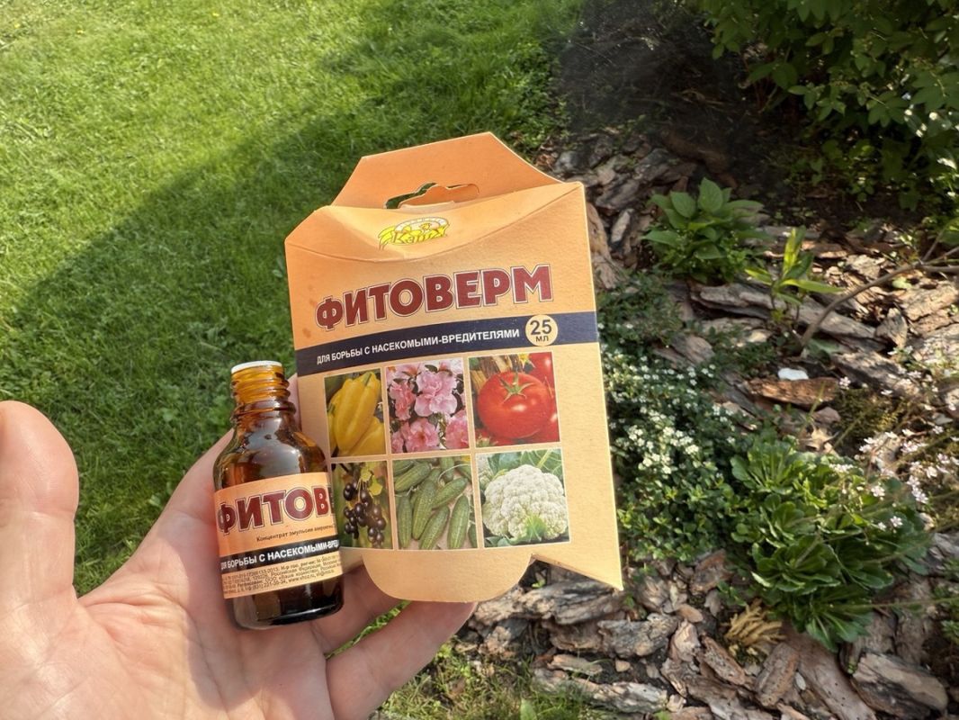 ��������: ���, ��� ����� ����� � ���������� �������� ������ � �����������