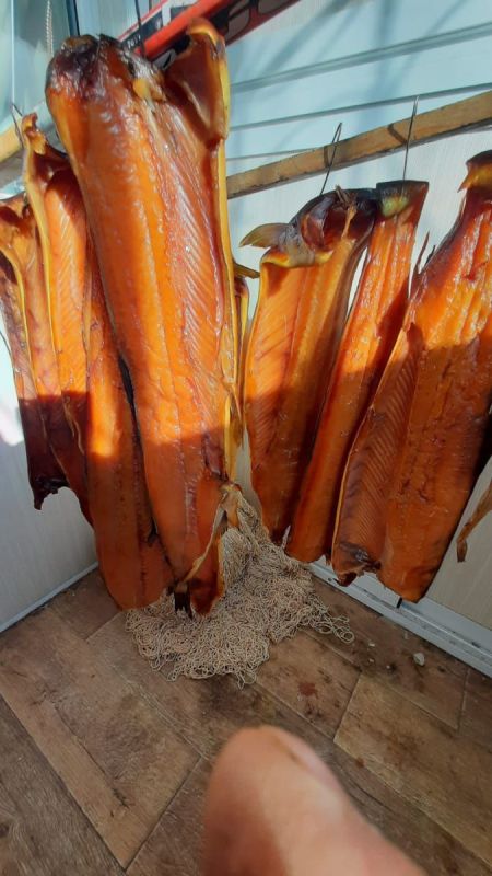 Кета домашнего копчения: вкус, который стоит попробовать