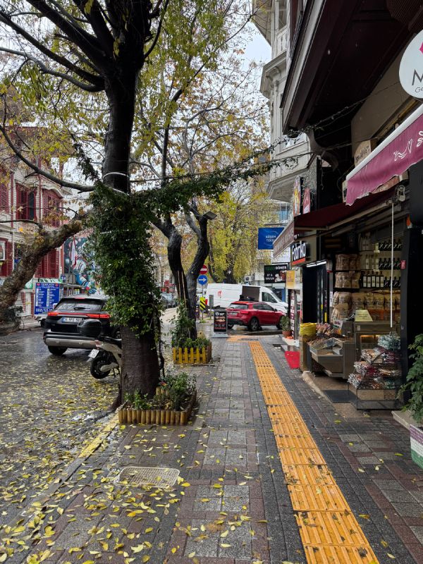 ������� ������� � ��������: ������ ����� ��� ����������