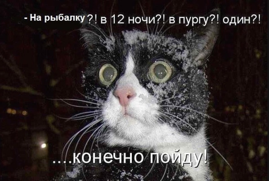 Юмор и рыбалка: как смех делает улов еще более впечатляющим