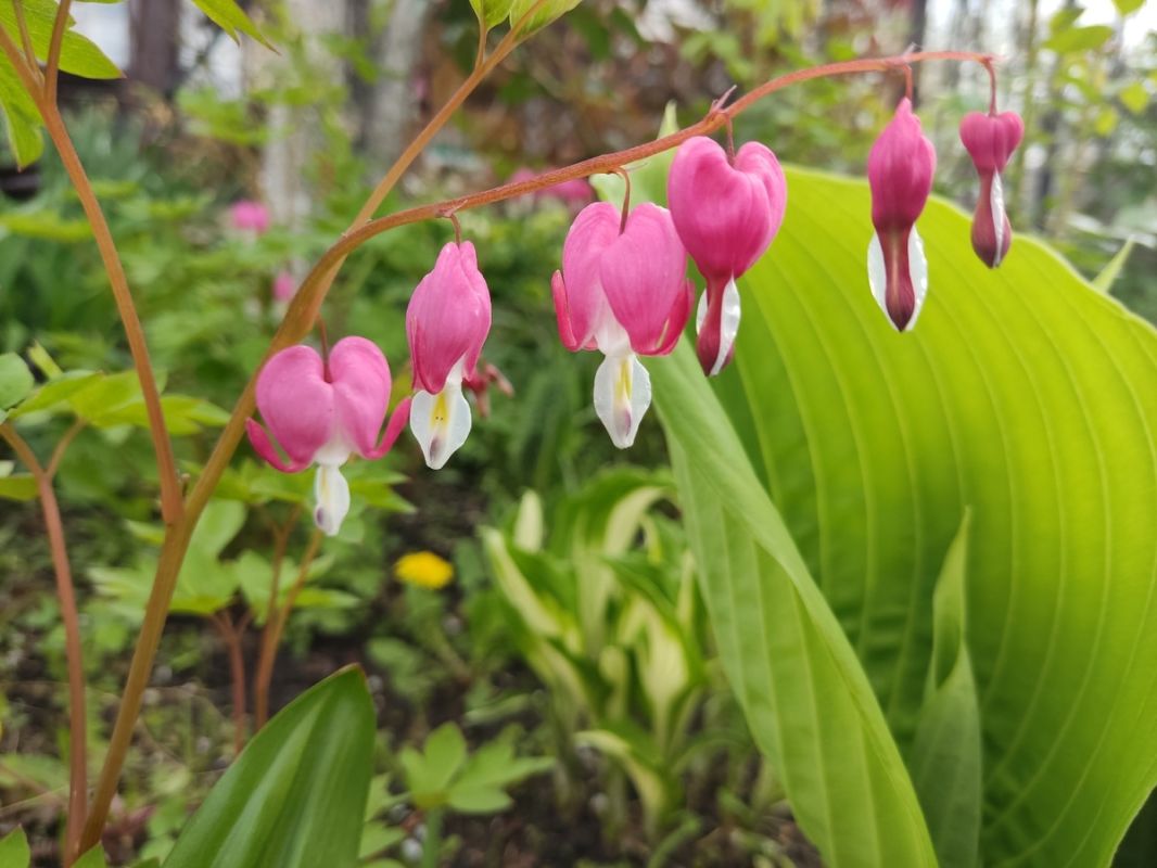 ��� ������: ��� ������� ���������� ������� ������ � ����