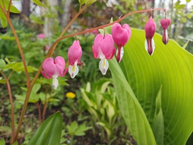 ��� ������: ��� ������� ���������� ������� ������ � ����