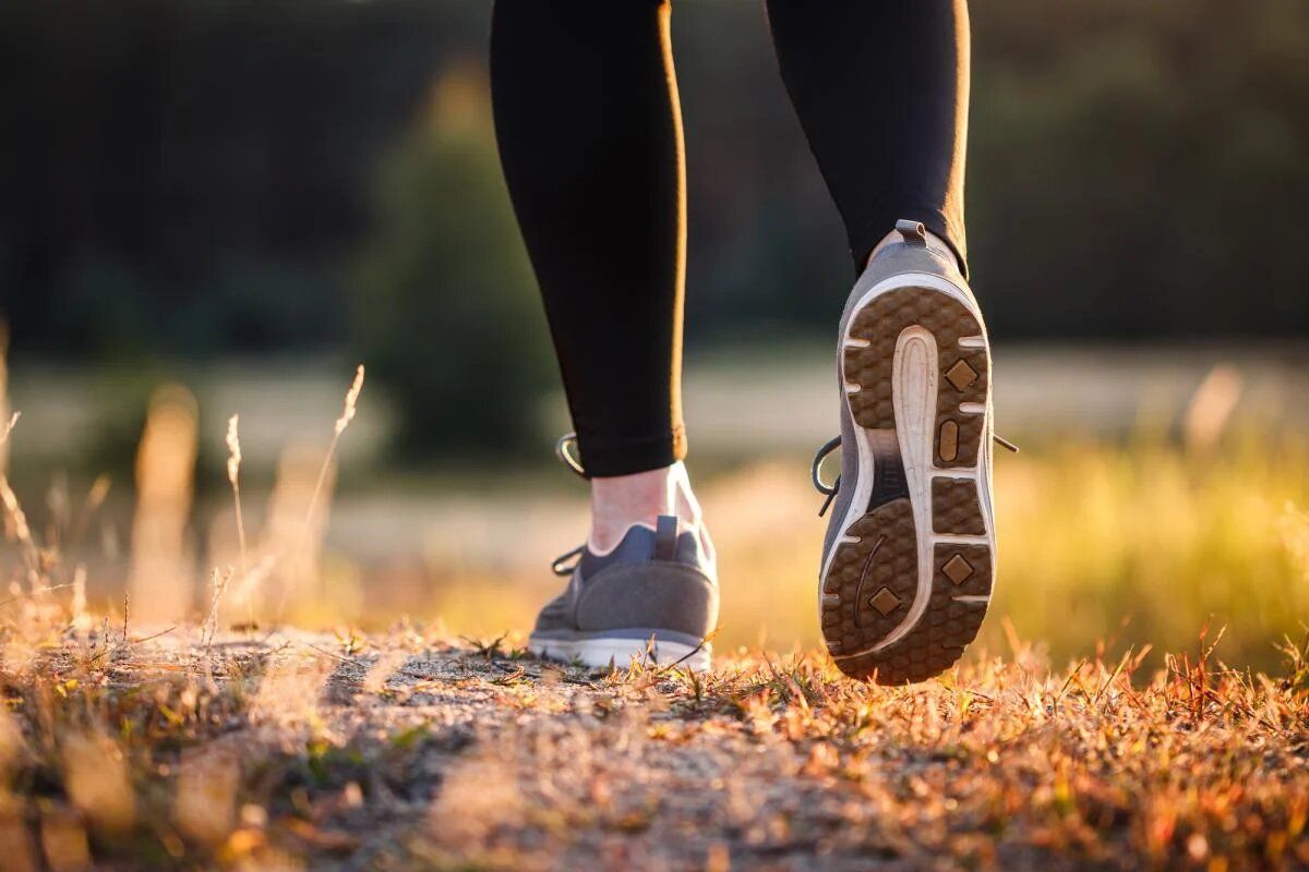 ����� �� �������: ���� � ������ �� ��������