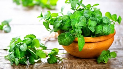 ����: ����������� ������ ��� ��� � ��������