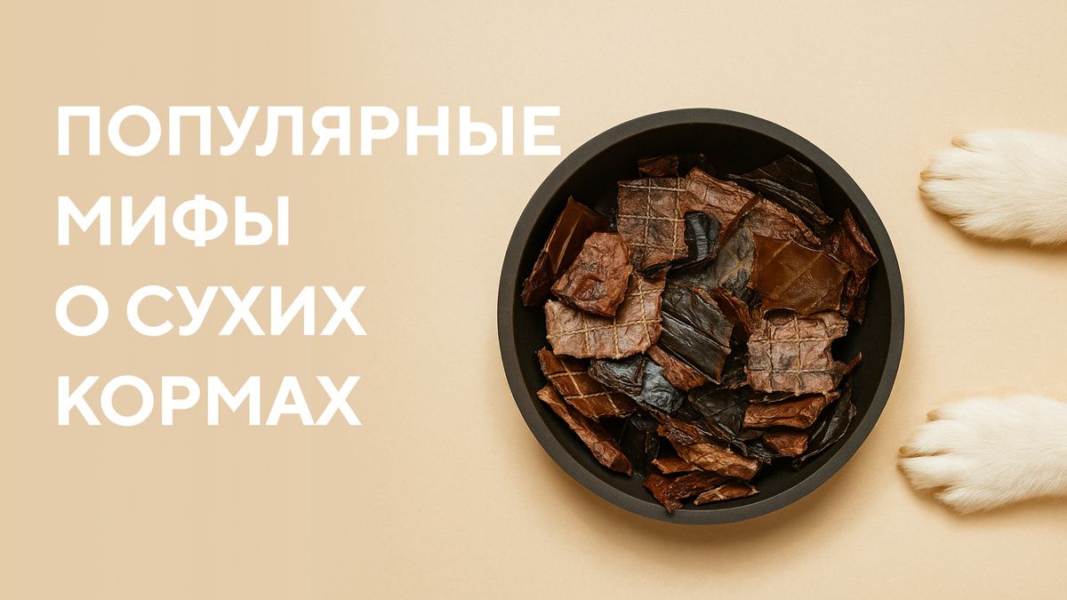 Правда о сухих кормах: мифы и реальность