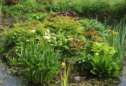 ������������ ������: ��� ���������� ��������������� ������� � �������������� ���