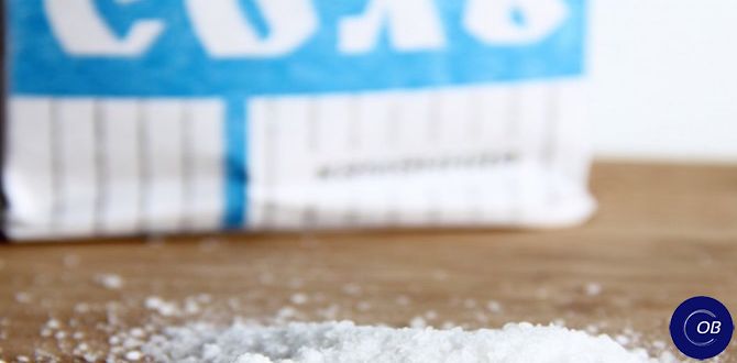 ���� � ���� � ������ �� ������: ��������� ��� �����