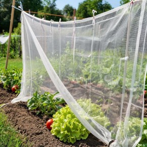 Тюль как спасатель: неожиданные решения для защиты растений