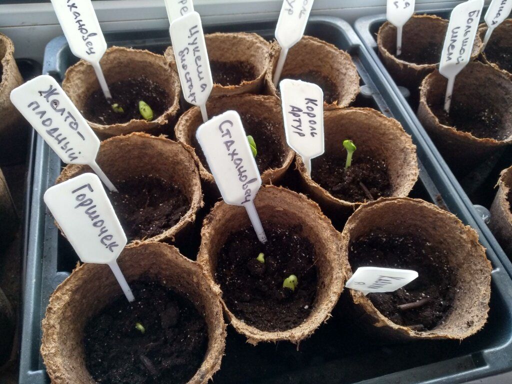 �������� ����������: ������� ������� ��� ��������� � ��������