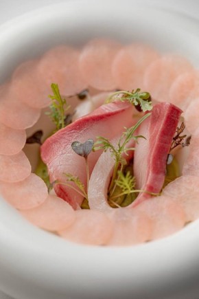 Желтохвост: кулинарный мост между Востоком и Западом в современной гастрономии