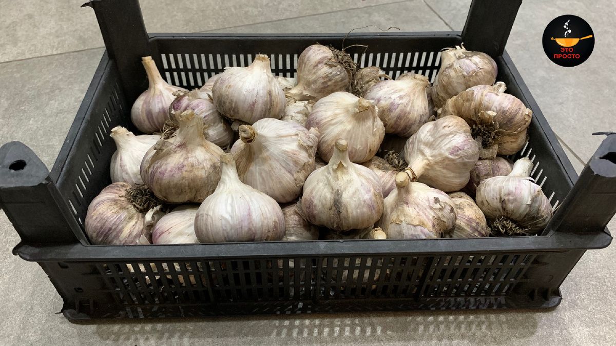 ��� ��������� ������ ������ �� ���������� ����� ����