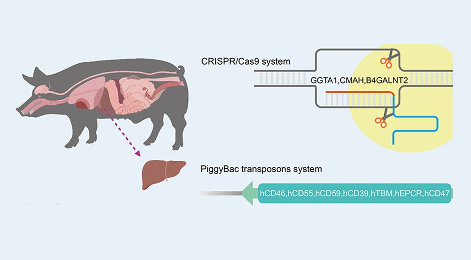 ��������� ������ ������� ���������� ��������� �����-���������������� ������ ������