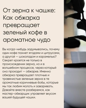 �������� �������� ����: ��� ������� ��������� ����