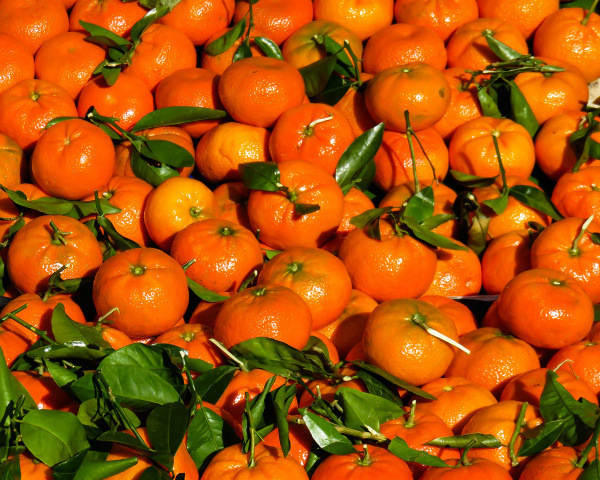 Цены на мандарины: снижение на 25% и изменчивость спроса