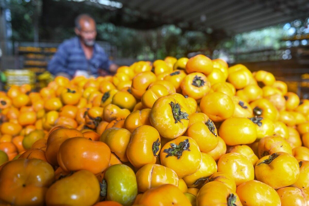 ��� ������� ����� ��������� �������� � �������� �������� ����