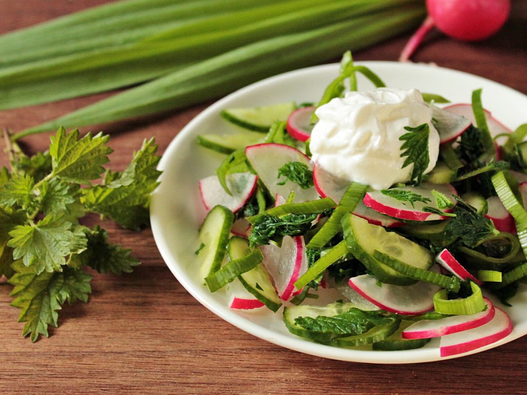 ������ ����� �� ������ ������ � �������: ������ � ������