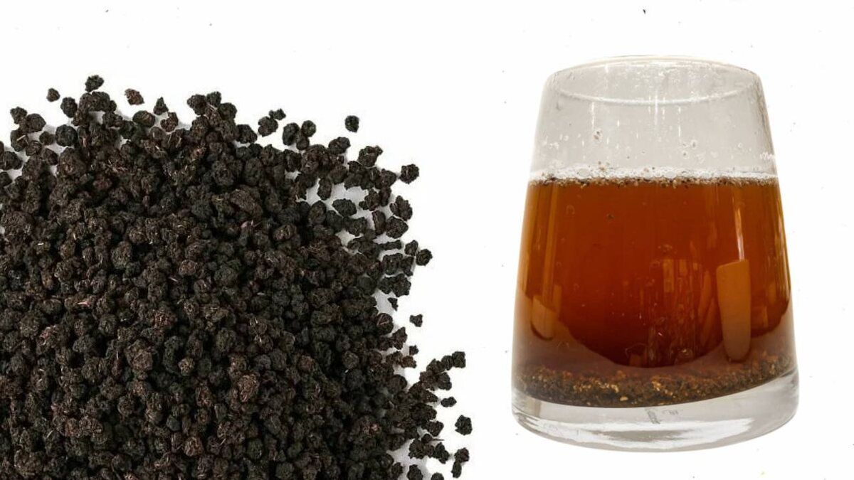 Гранулированный чай: мифы и реальность напитка