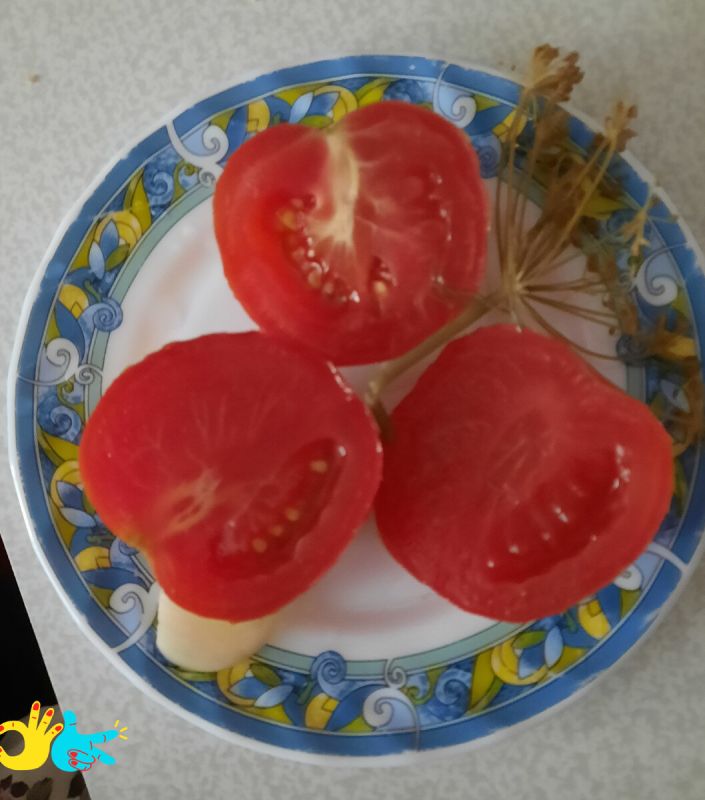 ������ ����������� ��������: ��������� ������� � ������� �����