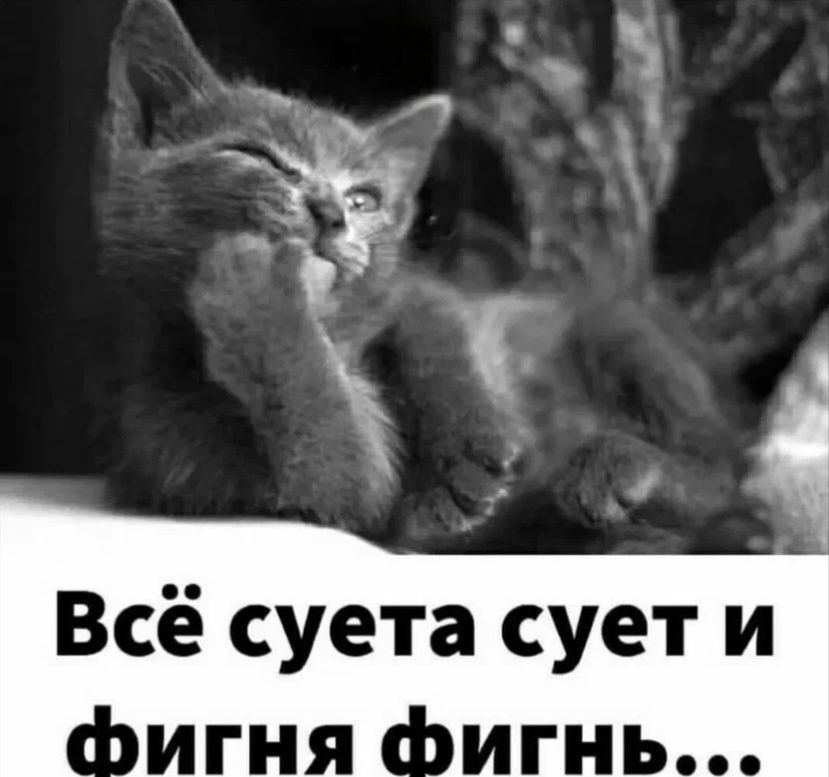 �������� ������ � ���������