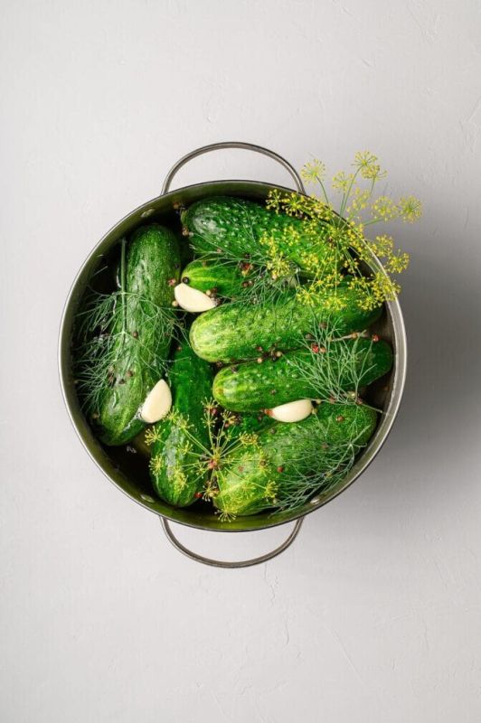 ������� ��������: ����������� ������ �� ����������� �������