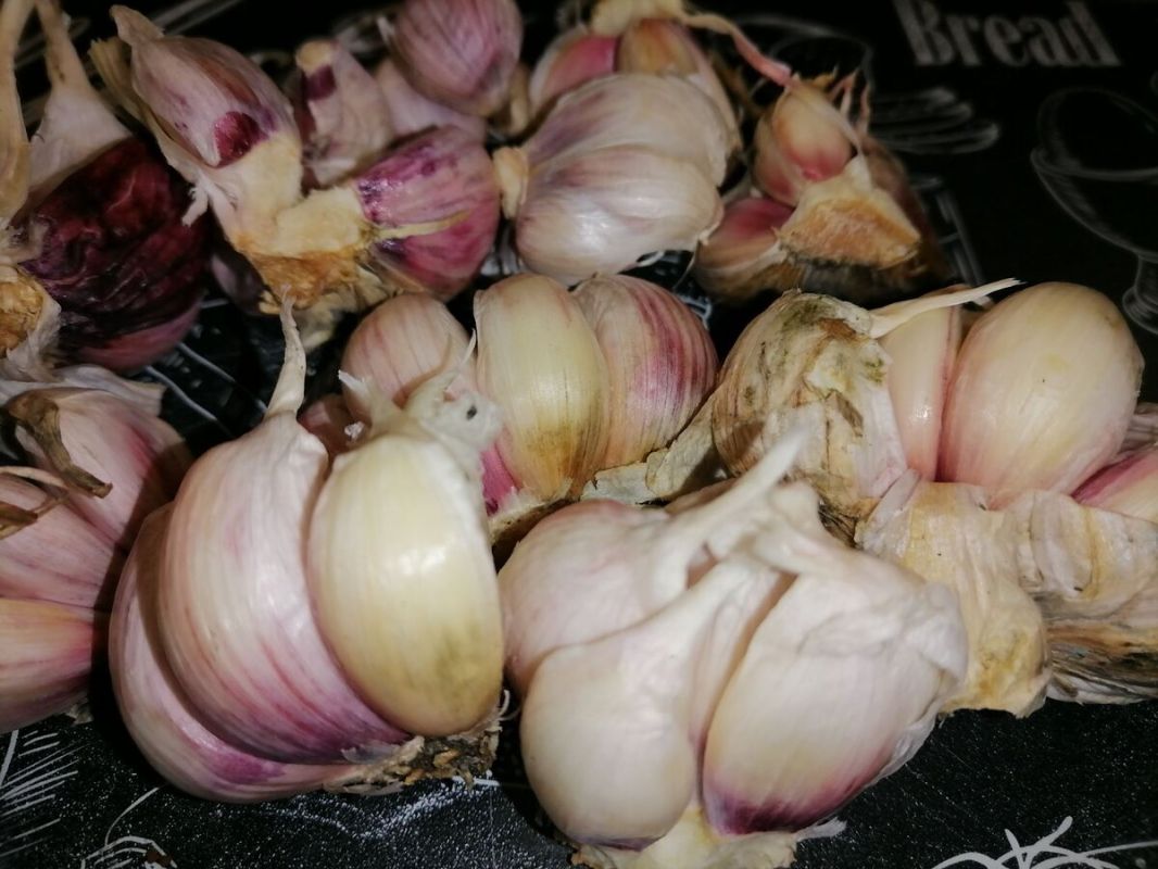 Простой и надежный способ хранения чеснока до весны на Кавказе