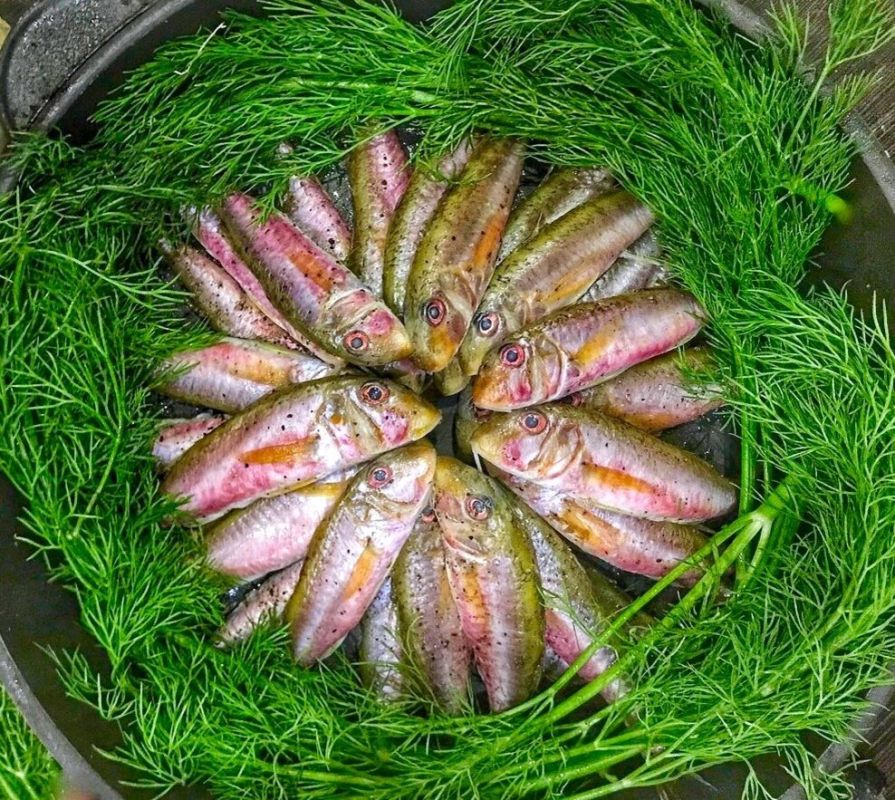 ���������� ������������ ����������: ������, ������ � �������� ������������