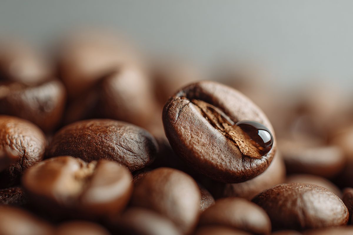 ��� ������� ����� ���� ����� �������� ��� ����: ������ ������ �����