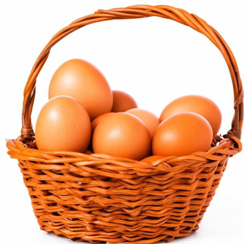 ���� � ���������: ���� ��� ������������� ����