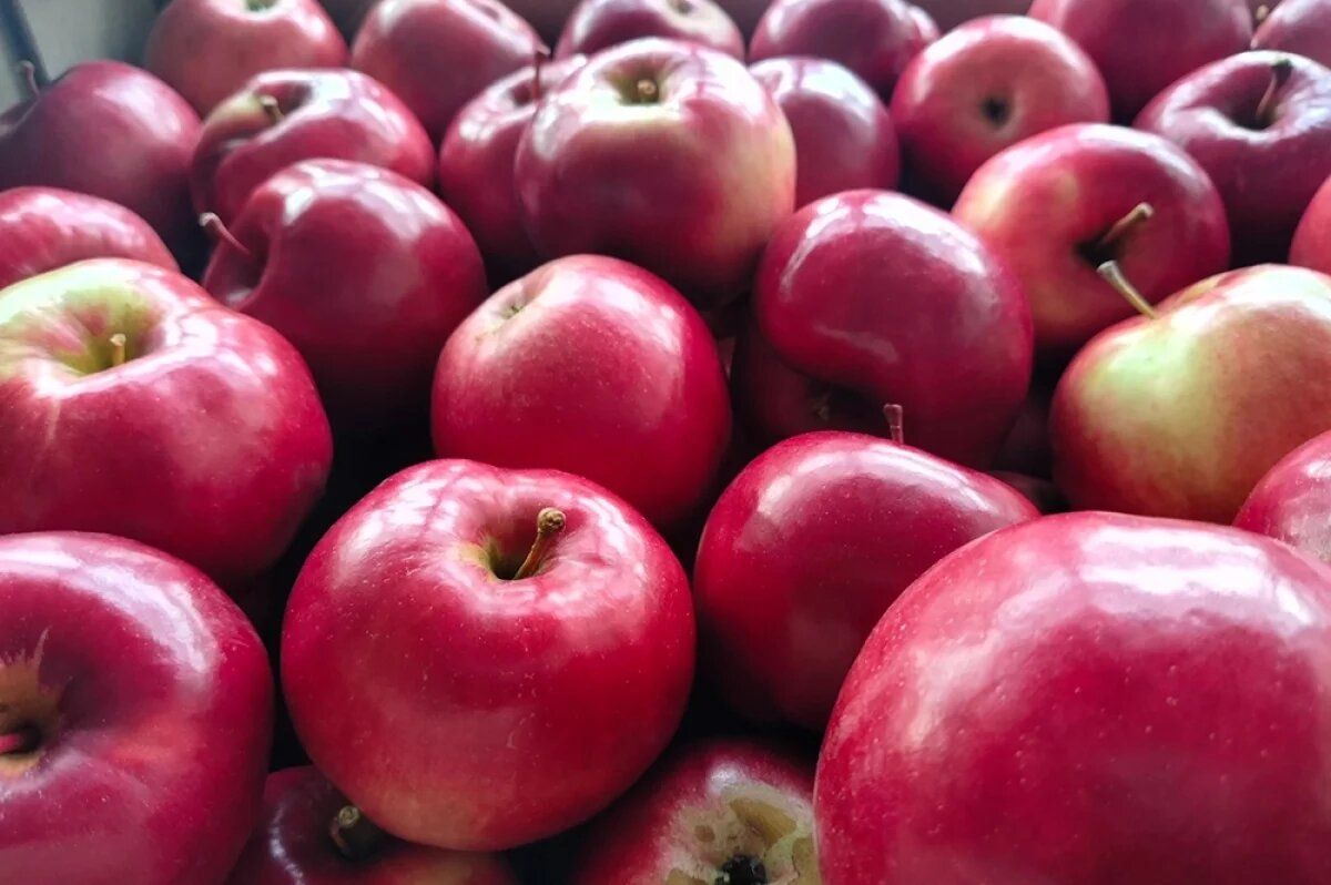 ��� ��������� �������� ������: ������ �������� ����� ������