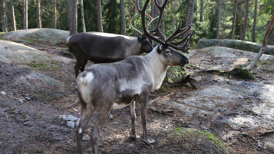 ��������� ������ ������� ������� ���������� ���������� ������ �� ������