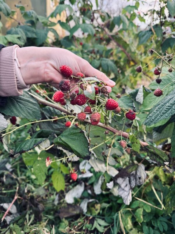 ��������, ���������� � ������: � ��� ������ ��������� ��������?