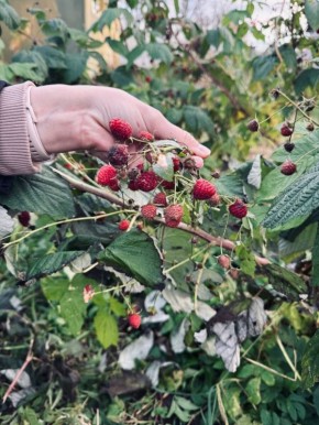 ��������, ���������� � ������: � ��� ������ ��������� ��������?