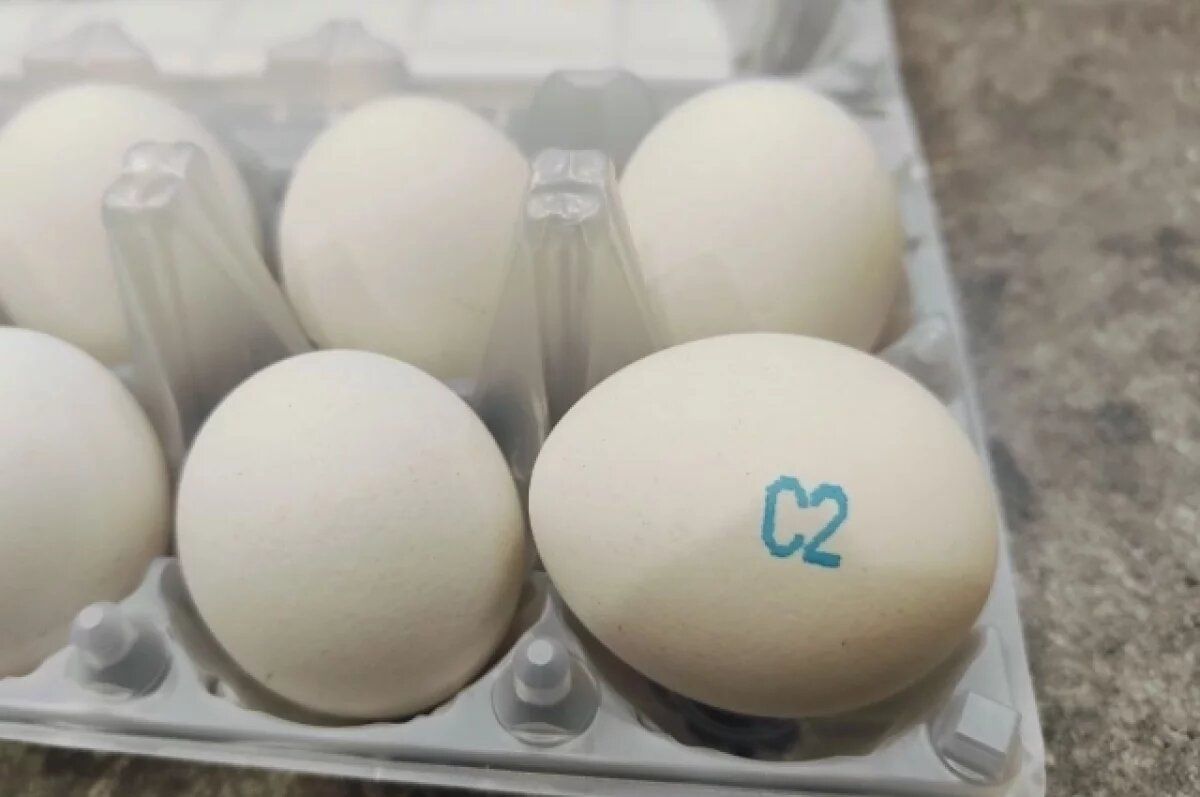 ���������� �������� ��������� � ������������ �� ������������� ����������������