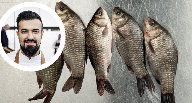 ������� ����������� ����� � �������� �� ���� ��������� White Rabbit