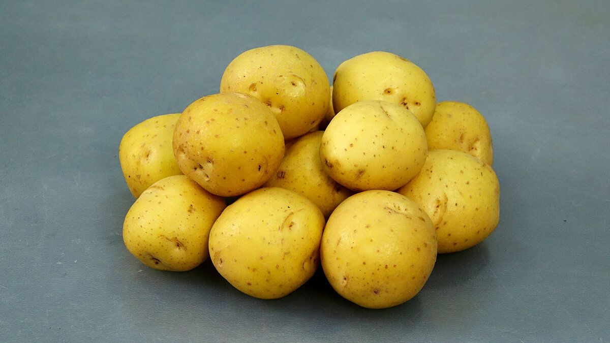 ��� ������ � ������ ����������� ������������ ���� �� 10 �����