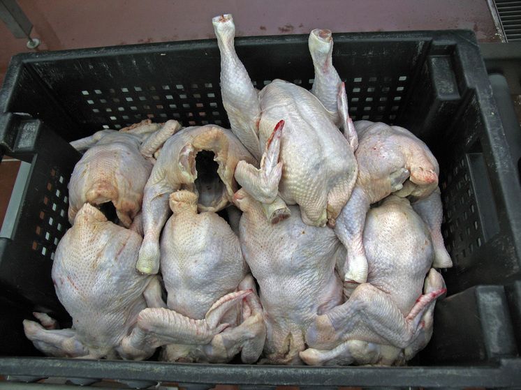 �������� ���������, ����� �� ���� ������ ����� ��������