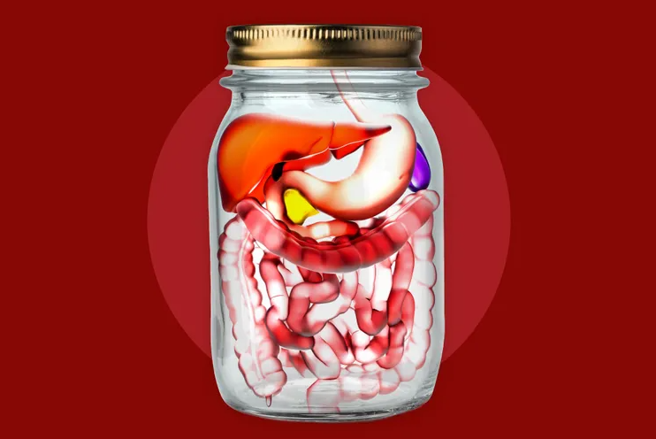 Как разнообразие в рационе помогает здоровью кишечника