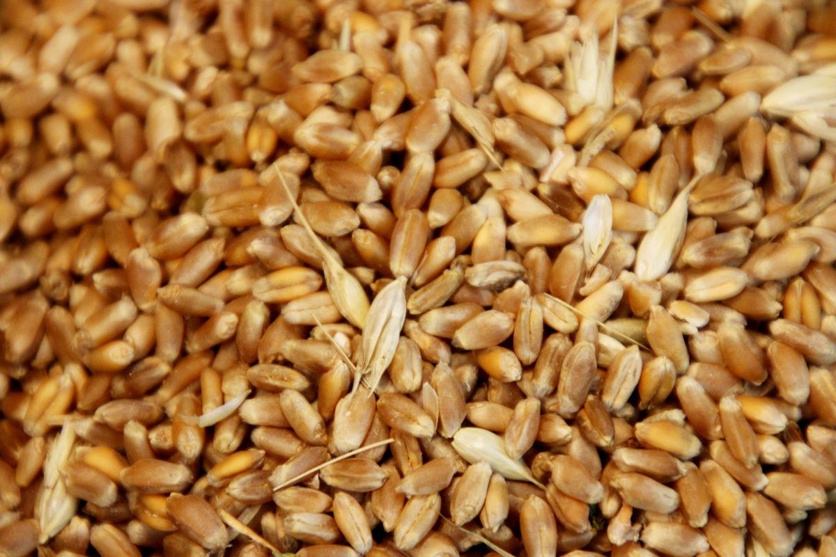 ��� ��������� ����������� ������� ��� ����� ����