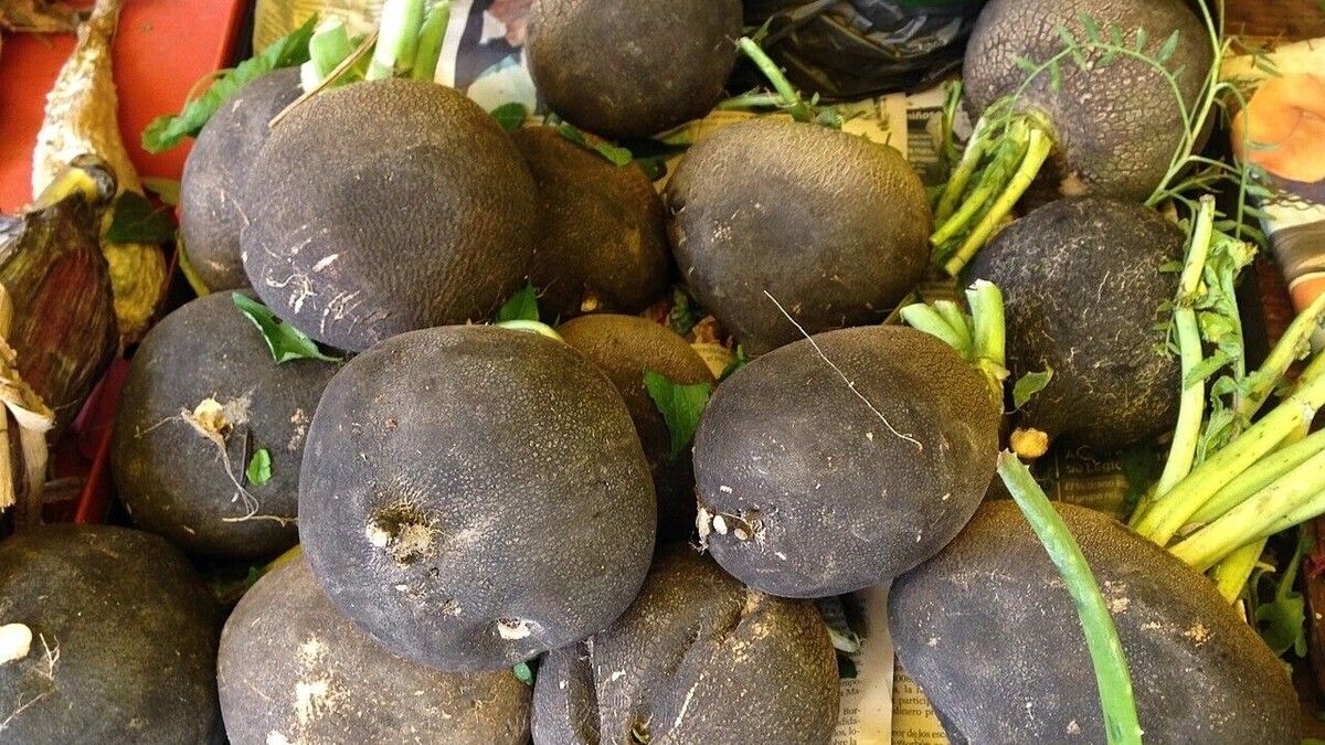 ����������� ���������� ��������� ������� ������������ ������